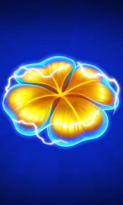 Lightning Clovers: Hit the Bonus
